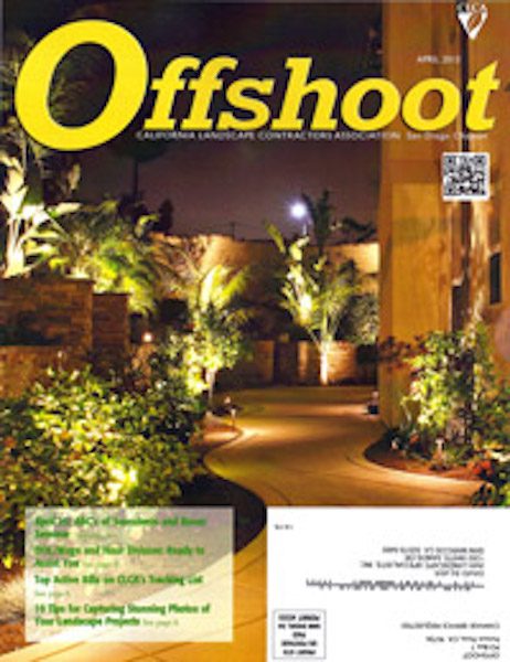 offshoot-mag-cover
